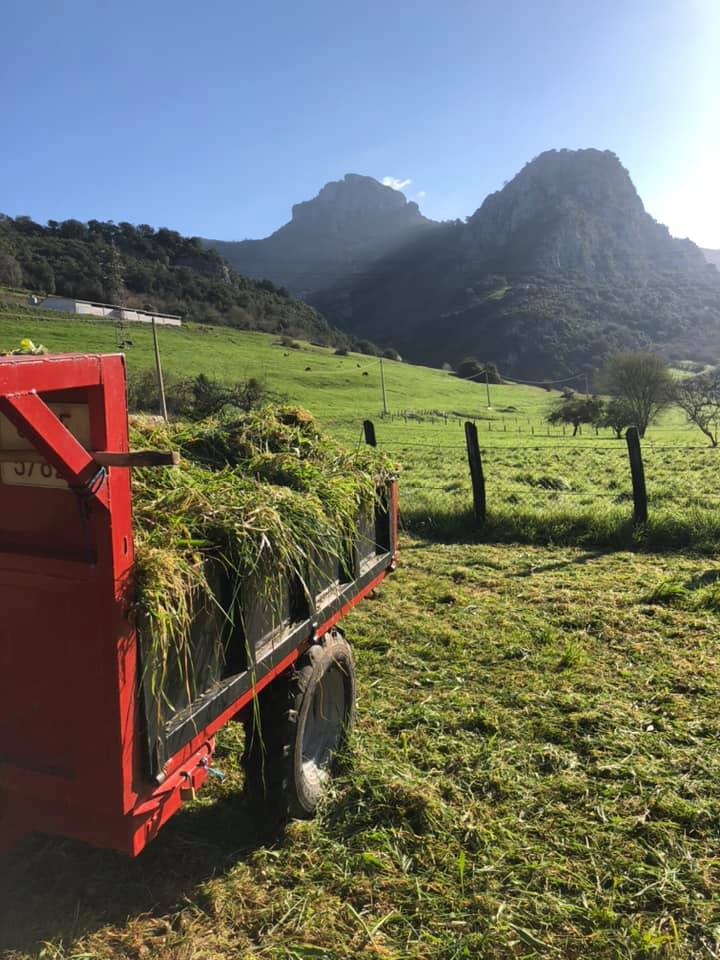 preparando el invierno