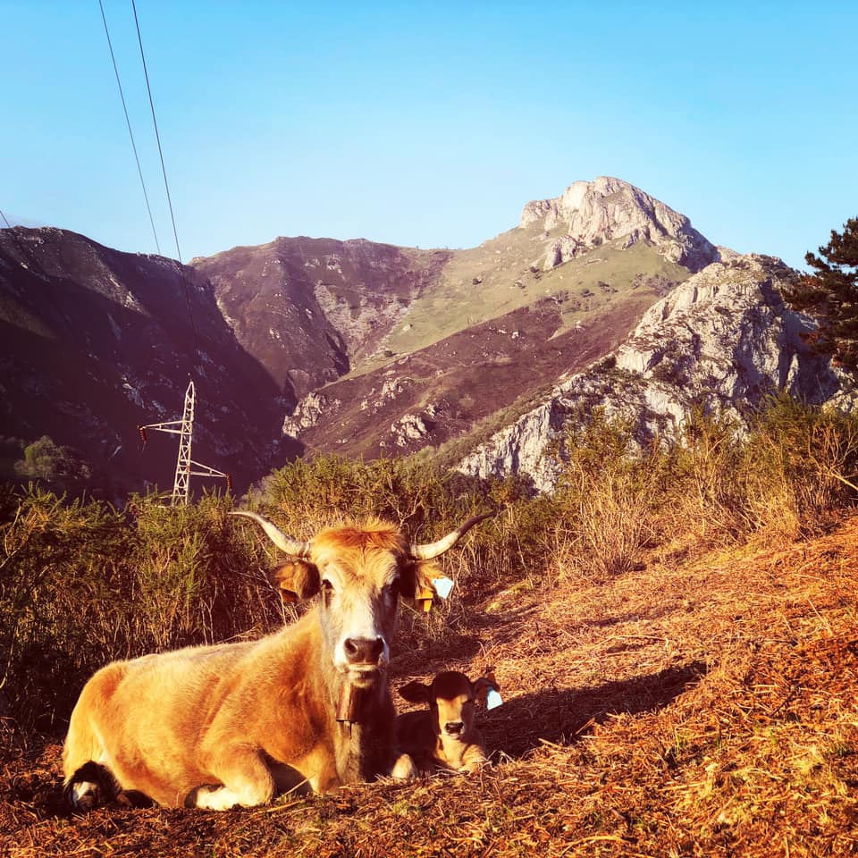 Posando en el puertu