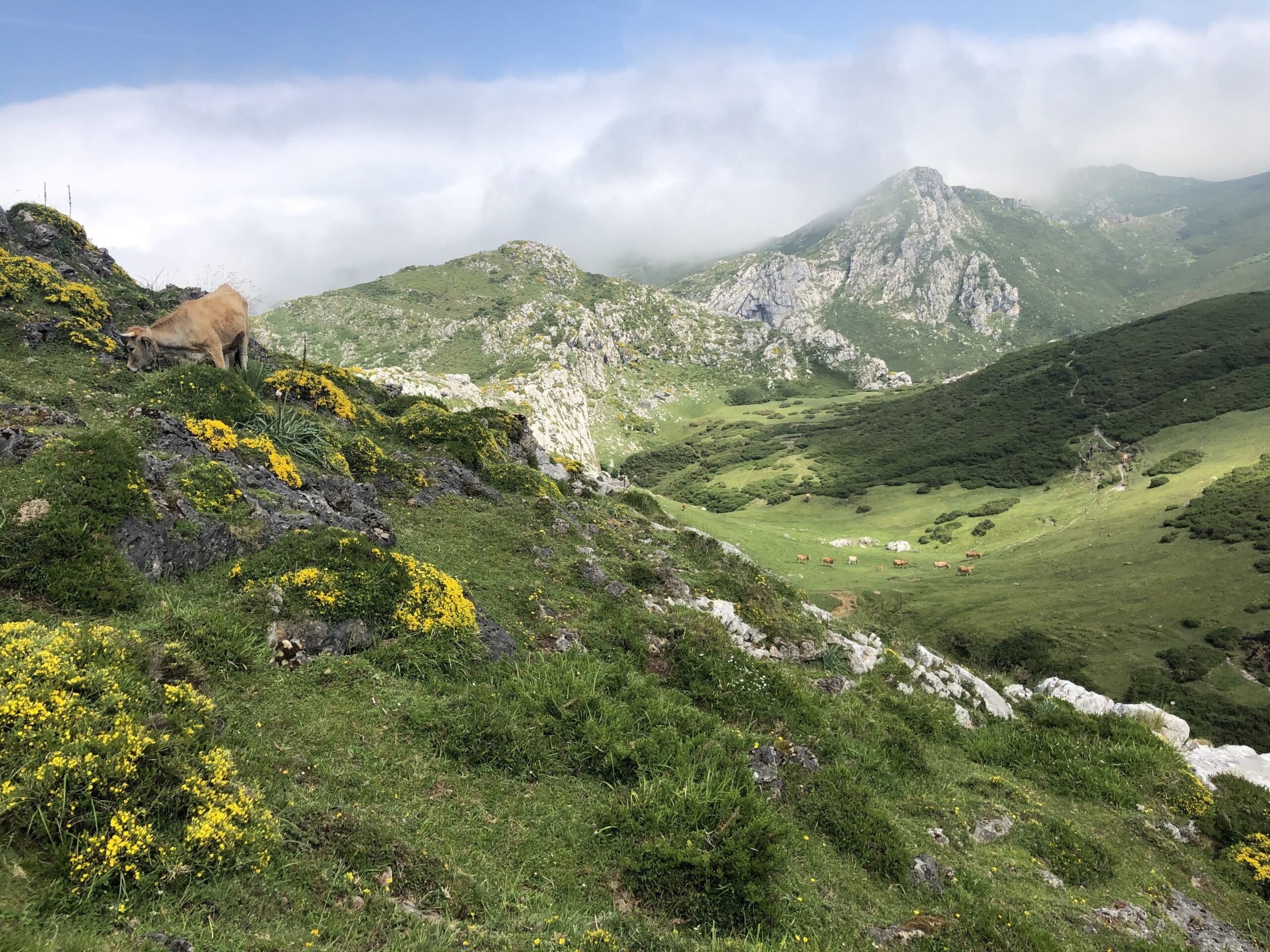 las casinas en los picos de europa